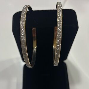 ✨ Big Hoop Energy ✨